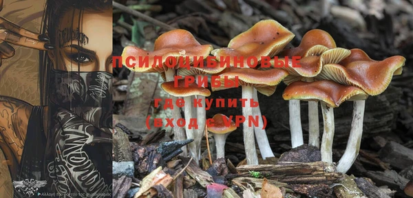 мяу мяу кристалл Богородск