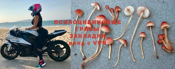 прущая мука Богданович