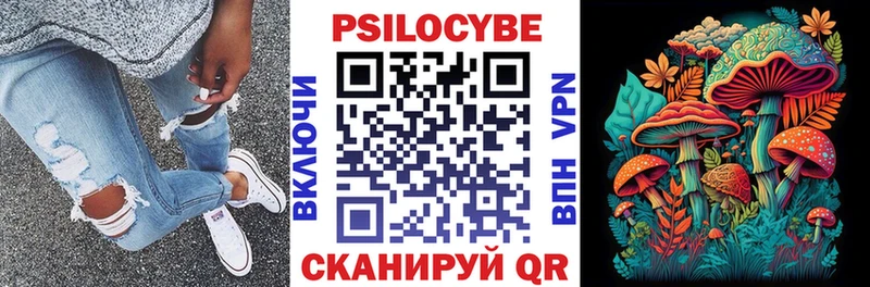 Галлюциногенные грибы Cubensis Болотное