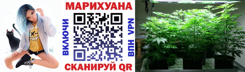 Купить  Болотное  Бошки Шишки гибрид 